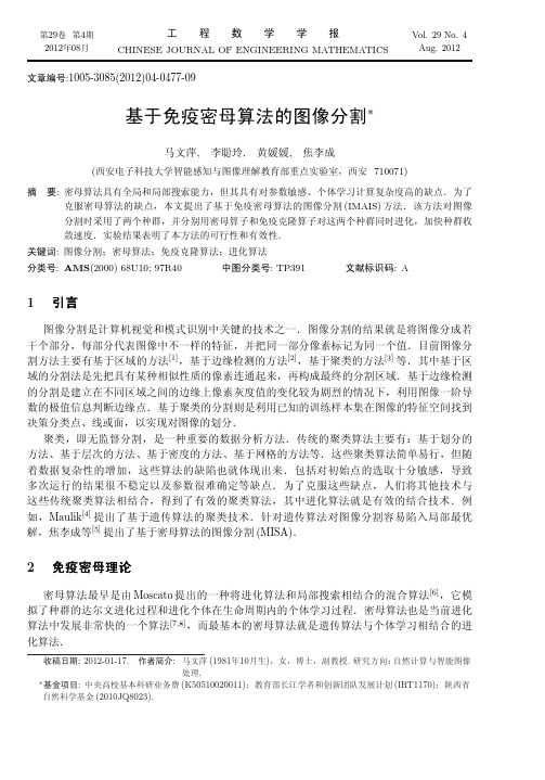 基于免疫密母算法的图像分割_马文萍