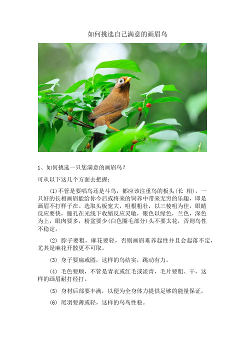 如何挑选自己满意的画眉鸟