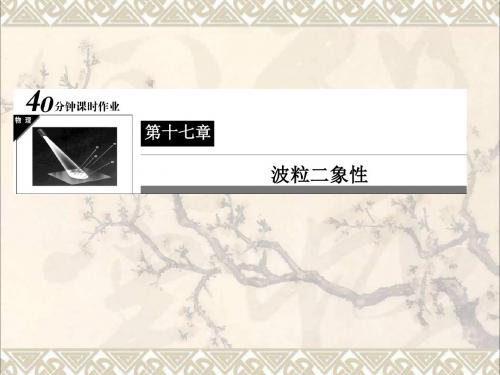 高中物理第17章波粒二象性6能量量子化光的粒子性习题课件新人教版选修3_5