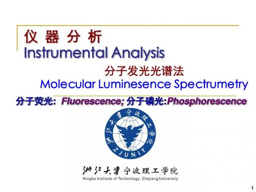 荧光光谱 FL概要