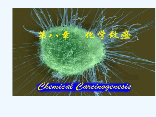 化学致癌作用及其评价