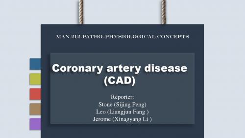 病理生理 冠状动脉疾病 Coronary Artery Disease C A Dppt课件