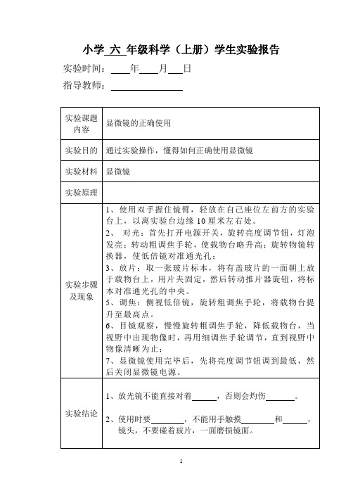 六年上实验报告单