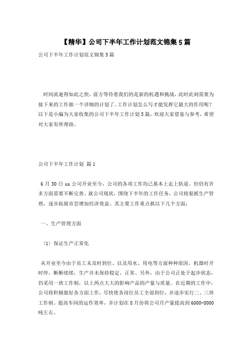【精华】公司下半年工作计划范文锦集5篇