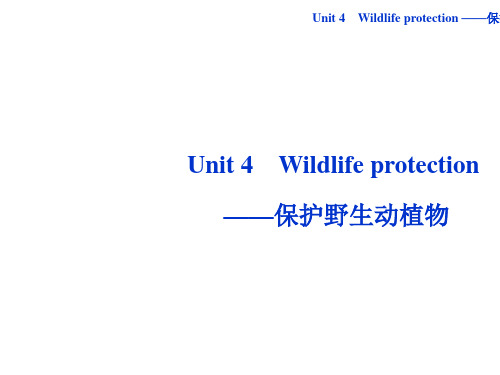2019年最新-人教版高中英语必修二Unit4_Wildlife_protection_——保护野生动植物ppt课件