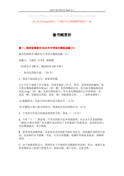 2019年偷书贼赏析-word范文 (28页)
