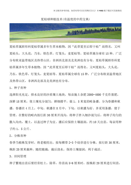 夏枯球种植技术(有温度的中药宝典)
