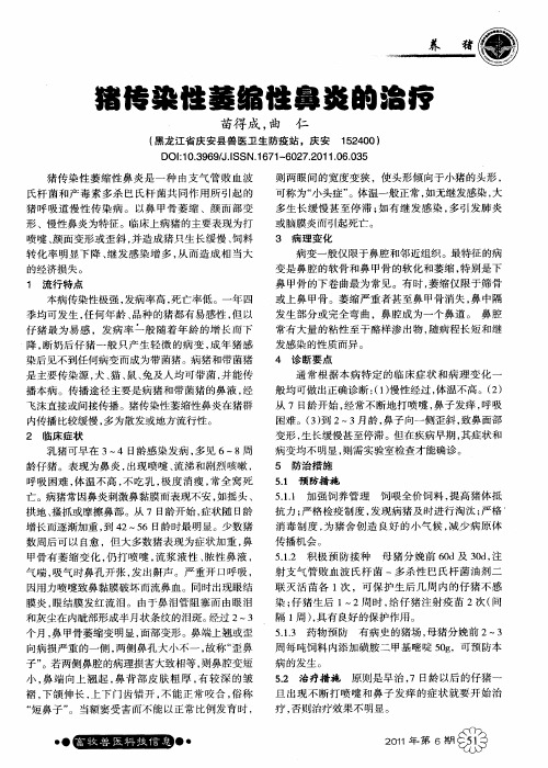 猪传染性萎缩性鼻炎的治疗