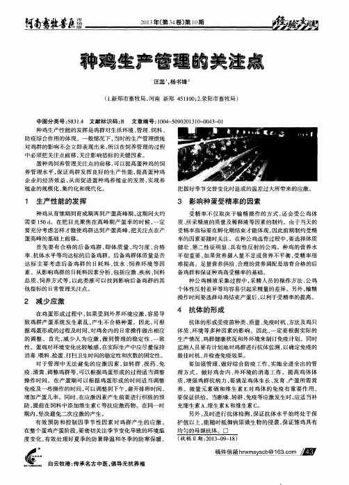 种鸡生产管理的关注点