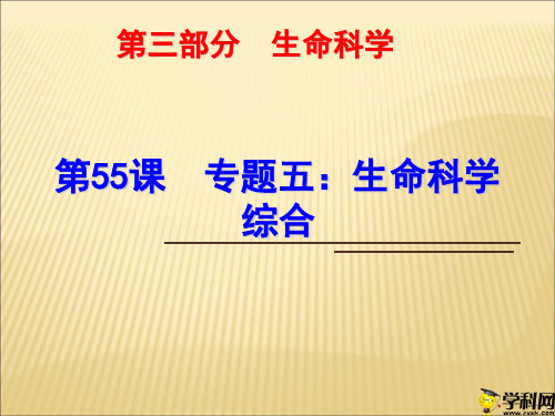浙江省绍兴市浙教版科学九年级中考复习课件：第55课专题五：生命科学综合(共29张PPT)