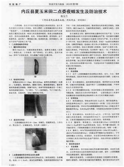 内丘县夏玉米田二点委夜蛾发生及防治技术