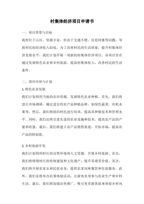 村集体经济项目申请书
