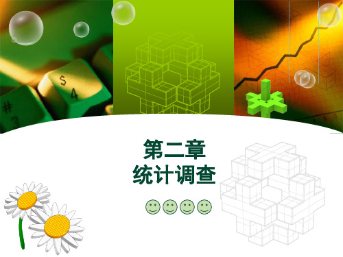 第二章统计调查