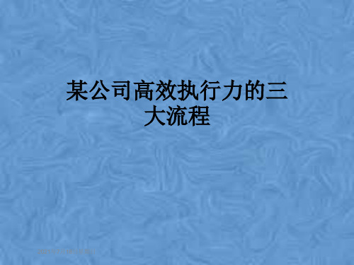 某公司高效执行力的三大流程