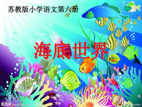 海底世界  正稿