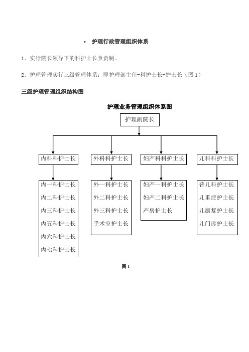 护理行政管理组织体系