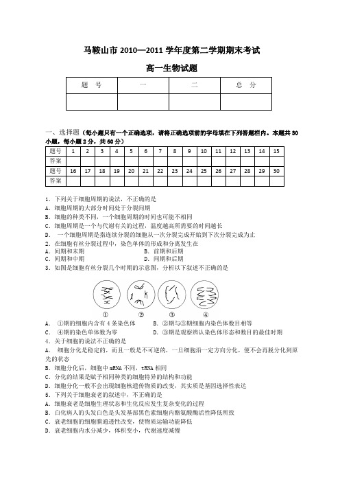 安徽省马鞍山市2010-2011学年高一下学期期末考试生物试卷