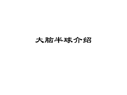 大脑半球介绍