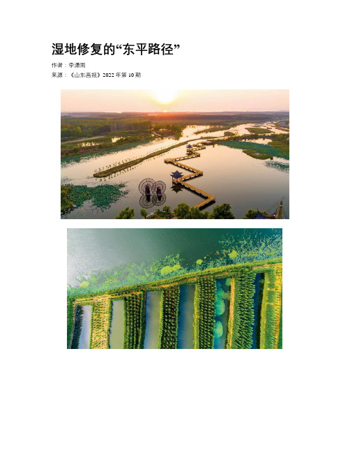 湿地修复的“东平路径”