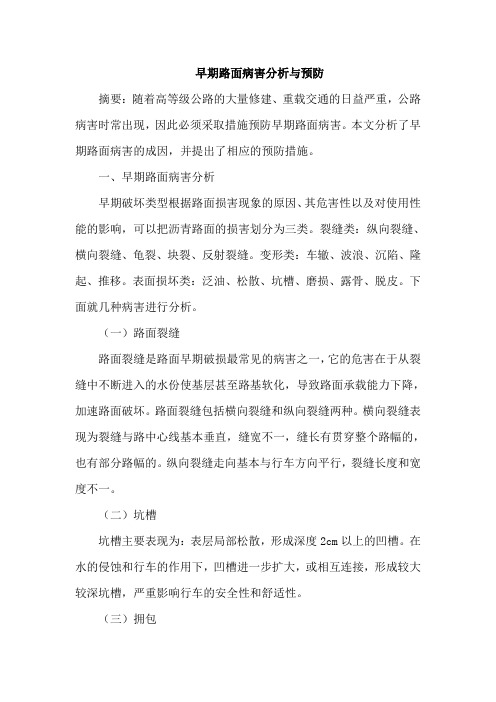 早期路面病害与预防