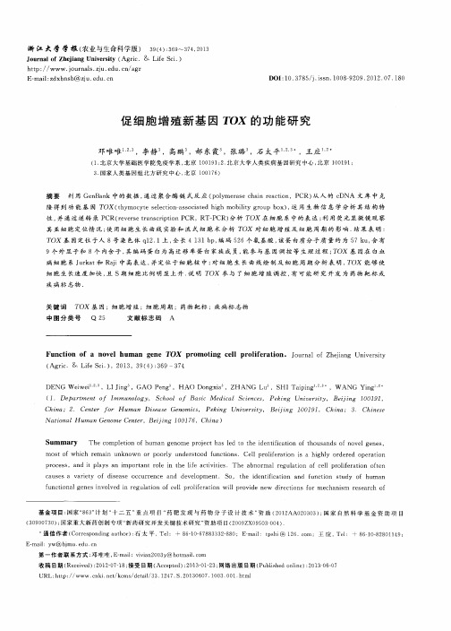 促细胞增殖新基因TOX的功能研究