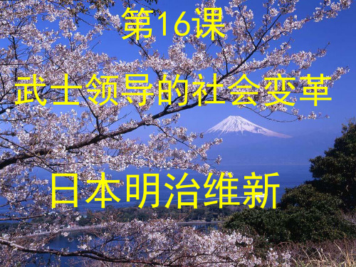 历史九年级上北师大版第16课武士领导的变革课件(17张)