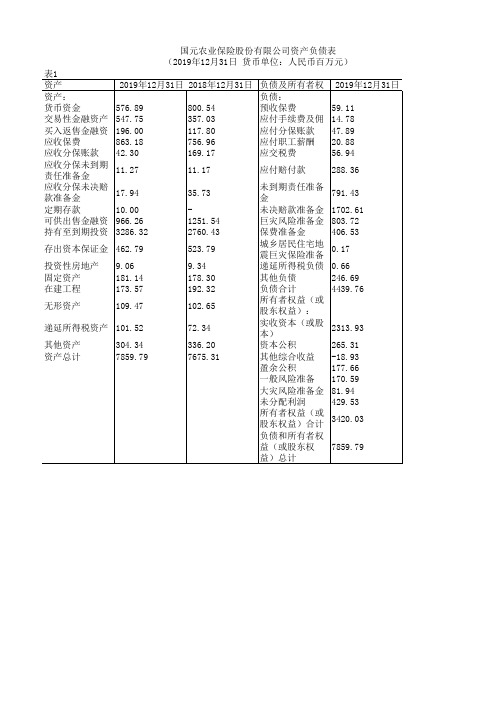 中国保险年鉴2020：国元农业保险股份有限公司资产负债表