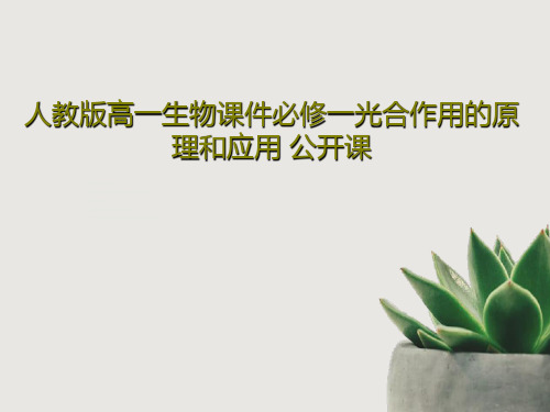 人教版高一生物课件必修一光合作用的原理和应用 公开课PPT共40页
