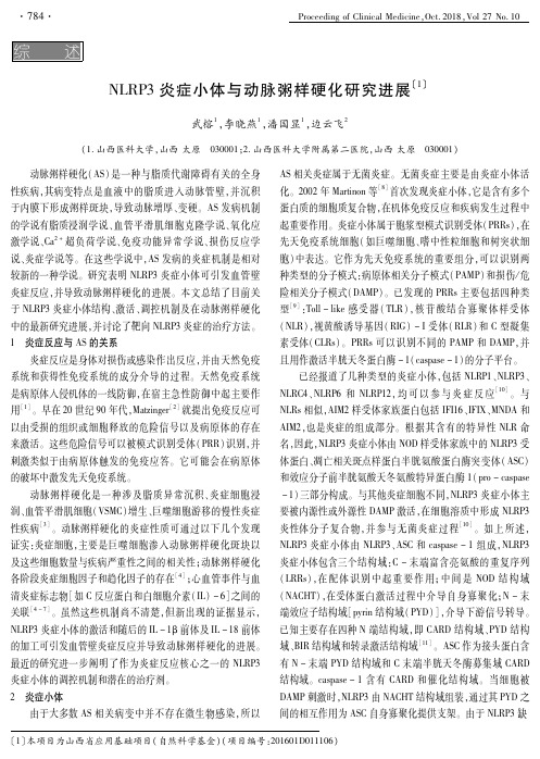 NLRP3炎症小体与动脉粥样硬化研究进展