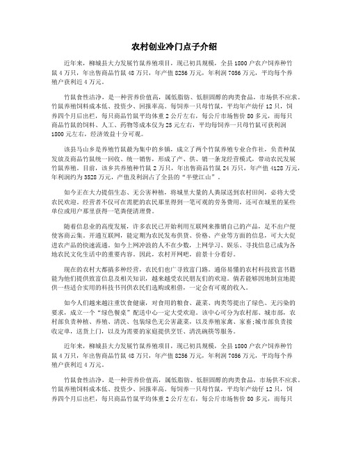 农村创业冷门点子介绍