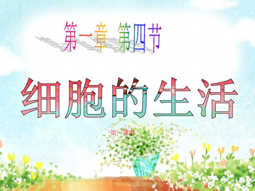 人教版七年级生物上册2.1.4《细胞的生活》两课时 课件 (共40张PPT)