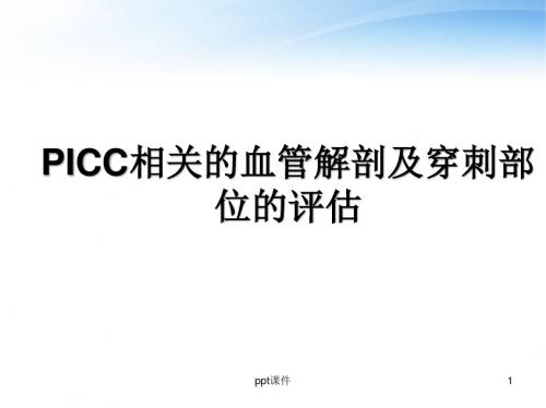 PICC相关的血管解剖及穿刺部位的评估  ppt课件