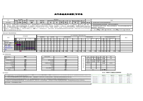肉牛养殖成本测算分析表excel模版下载