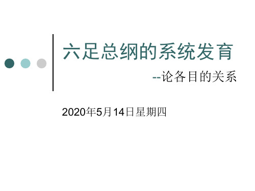 2005-B1-六足总纲的系统发育28