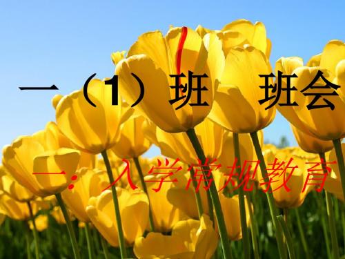 最新2019-小学一年级主题班会《入学常规教育》-PPT课件