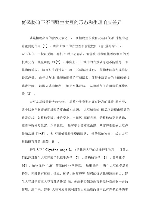 低磷胁迫下不同野生大豆的形态和生理响应差异