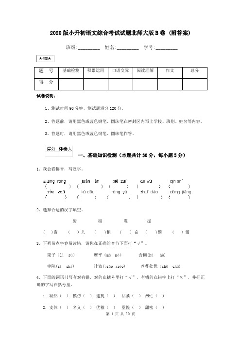 2020版小升初语文综合考试试题北师大版B卷 (附答案)