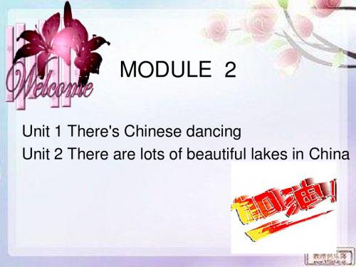 外研版六年级英语上册MODULE 2课件