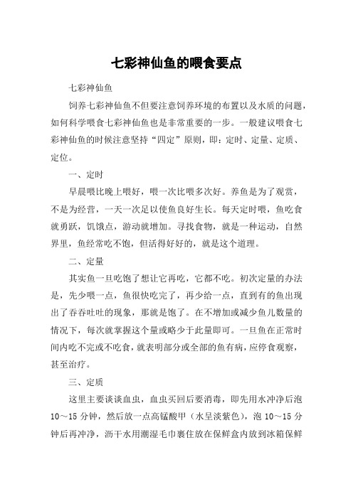 七彩神仙鱼的喂食要点