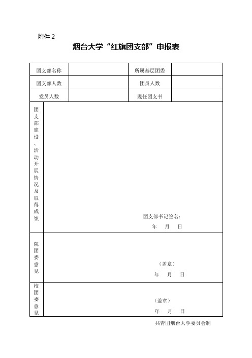 红旗团支部申报表