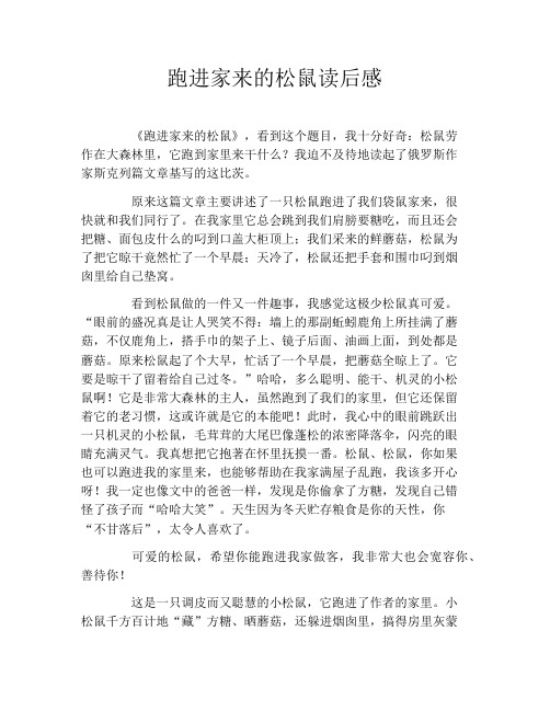 跑进家来的松鼠读后感
