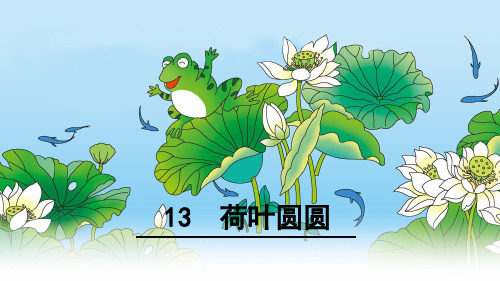 荷叶圆圆第二课时课件