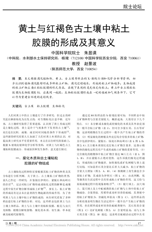 黄土与红褐色古土壤中粘土胶膜的形成及其意义