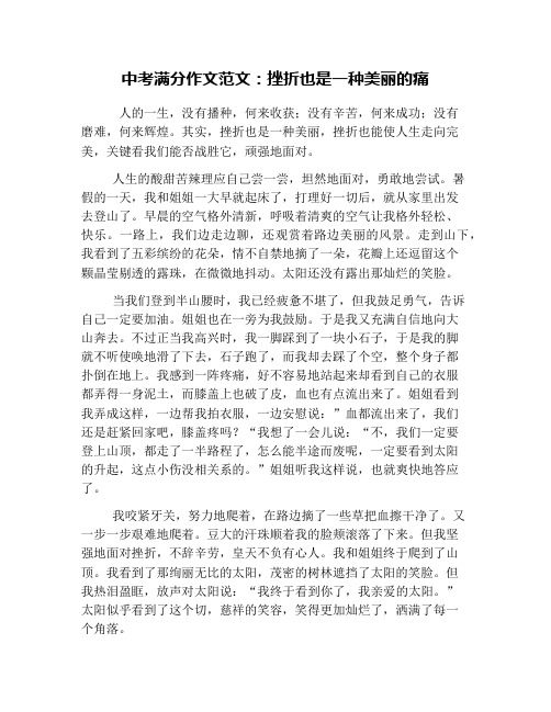 中考满分作文范文：挫折也是一种美丽的痛
