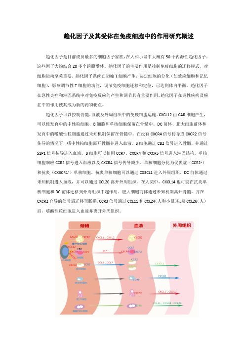 趋化因子及其受体在免疫细胞中的作用