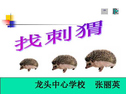 教科版二年级语文找刺猬 1gdkj