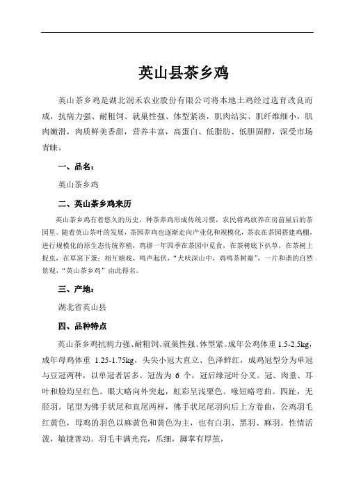 茶乡鸡来历介绍