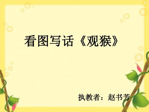 赵书芳观猴PPT