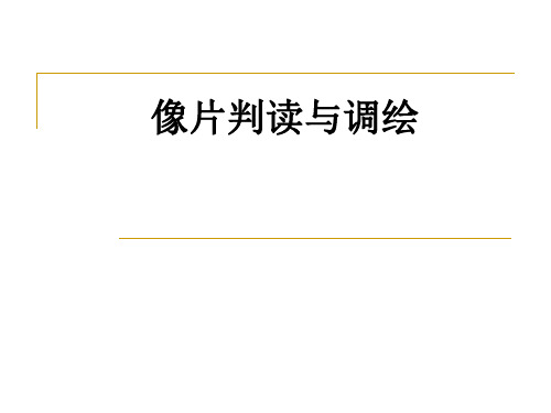 测绘像片判读与调绘