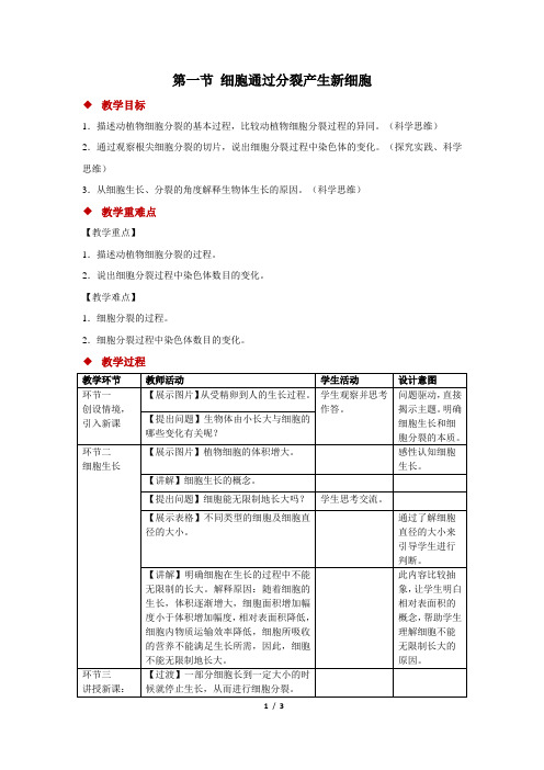 苏教版(2024)生物七年级上册2.1细胞的分裂和分化(教案)